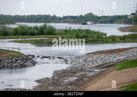 Die Emschermündung bei Dinslaken, renaturiert, Renaturierung, im Hintergrund ein Frachtschiff auf dem Rhein, 26.04.2025 in Dinslaken, Stockfoto