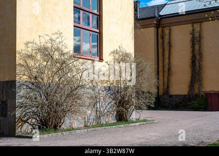 Detail von Linneanum, der Orangerie im Botanischen Garten der Universität Uppsala an einem sonnigen Frühlingstag in Schweden Ende April 2025. Stockfoto