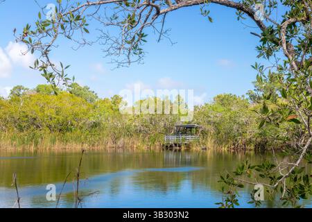 Blick auf das Blue Hole und seine Wildtierbeobachtungsplattform, Big Pine Key, Florida Stockfoto