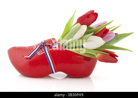 Typische holländische Holzschuh mit Tulpen Stockfoto