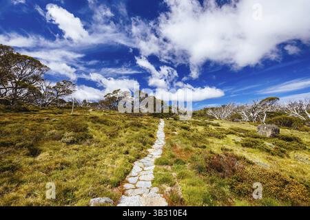 Blick auf die Landschaft entlang des Porcupine Walking Track an einem Sommertag im Kosciuszko National Park, Snowy Mountains, New South Wales, Australien, Ozeanien Stockfoto