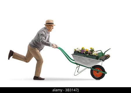 Älterer Herr, der mit Blumen in einer Schubkarre auf weißem Hintergrund läuft Stockfoto
