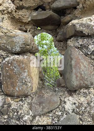 Verwitterte Steinmauer mit rauer Textur, bedeckt mit Moos und Flechten, mit kleiner Öffnung, wo üppiges Grün zu sehen ist. Geschichtsbegriff und Natu Stockfoto