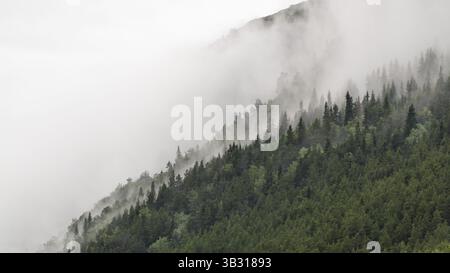 Bewölkter, bewaldeter Bergkamm, bei Kvam, oberer Gudbrandsdalen, Norwegen, Europa Stockfoto