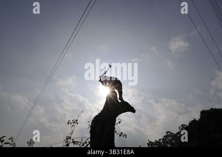 16. Januar 2016 - Kathmandu, NP, Nepal - A man Cuts Tree for Woods, um Lebensmittel in Kathmandu, Nepal, am 16. Januar 2016 zu kochen. Seit den letzten Monaten hatte das benachbarte Indien die Grenze blockiert, die Treibstoff und tägliche Güter nach Nepal transportiert; dies führt zu einem Mangel an Treibstoff und täglichen Rohstoffen in Nepal. (Kreditbild: © Narayan Maharjan via ZUMA Wire) Stockfoto