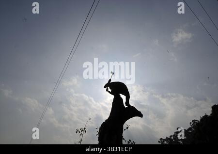 16. Januar 2016 - Kathmandu, NP, Nepal - A man Cuts Tree for Woods, um Lebensmittel in Kathmandu, Nepal, am 16. Januar 2016 zu kochen. Seit den letzten Monaten hatte das benachbarte Indien die Grenze blockiert, die Treibstoff und tägliche Güter nach Nepal transportiert; dies führt zu einem Mangel an Treibstoff und täglichen Rohstoffen in Nepal. (Kreditbild: © Narayan Maharjan via ZUMA Wire) Stockfoto