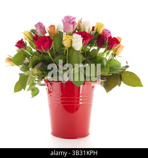 Strauß Rosen in roten Eimer isoliert auf weißem Hintergrund gemischt Stockfoto