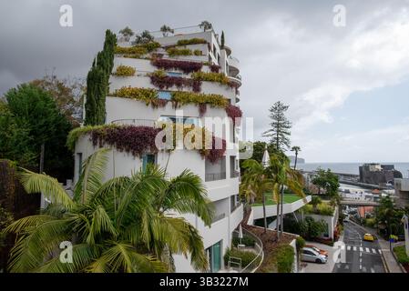 Haus in Funchal Madeira dekoriert mit Blumen und anderen Pflanzen. Stockfoto
