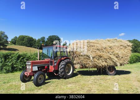 Oldtimer-roten Traktor und Anhänger mit Korn Stockfoto