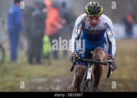 24. Jan. 2016 - Hoogerheide, Niederlande - der slowakische Matej Ulik fährt beim GP Adrie van der Poel UCI World Cup Cyclocross Rennen 2016 in Hoogerheide, Niederlande (Bild: © Mike Albright via ZUMA Wire) Stockfoto
