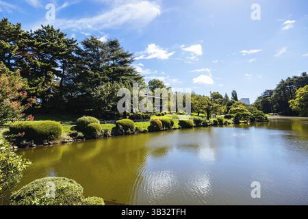 Shinjuku Gyo-en ist ein großer Park und Garten in Shinjuku und Shibuya, Tokio, Japan, Asien Stockfoto
