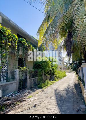 Das vergessene Haus, aber das Leben vergisst nie. Stockfoto