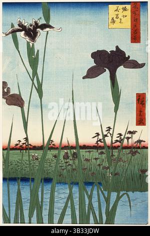 Horikiri Iris Garten (Horikiri no hanashÅbu) aus der Serie 100 berühmte Ansichten von Edo. Utagawa Hiroshige. 1857. Stockfoto