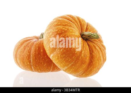 Zwei Kürbisse isoliert auf weißem Hintergrund Stockfoto