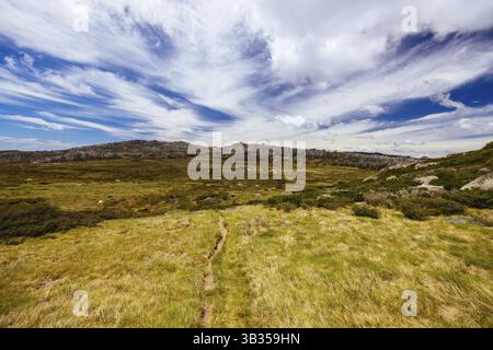 Blick auf die Landschaft entlang des Porcupine Walking Track an einem Sommertag im Kosciuszko National Park, Snowy Mountains, New South Wales, Australien, Kosciusz Stockfoto