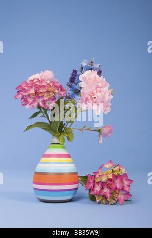 Hortensien rosa und blauen und anderen Blumen auf farbigen Hintergrund Stockfoto