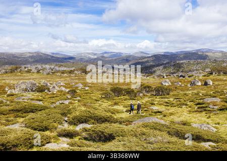 Blick auf die Landschaft entlang des Porcupine Walking Track an einem Sommertag im Kosciuszko National Park, Snowy Mountains, New South Wales, Australien, Kosciusz Stockfoto
