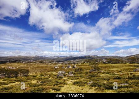 Blick auf die Landschaft entlang des Porcupine Walking Track an einem Sommertag im Kosciuszko National Park, Snowy Mountains, New South Wales, Australien, Kosciusz Stockfoto