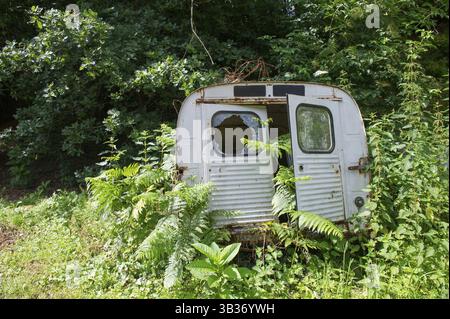 Altes französisches Auto in der Natur Stockfoto