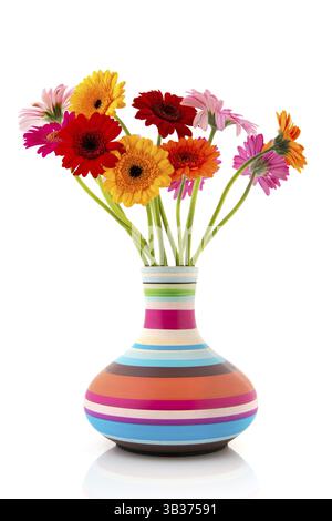 Bunter Strauß Gerber Blumen in modernen gestreifte vase Stockfoto