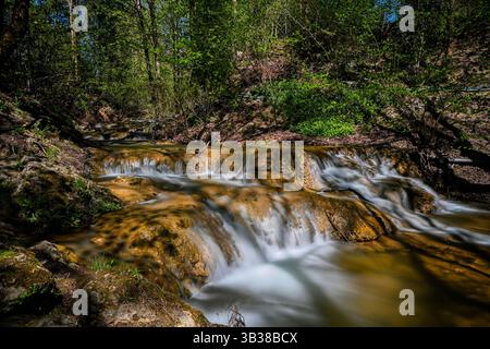 Das kaskadierende Wasser fließt über Felsen in einer friedlichen Waldlandschaft und schafft eine ruhige natürliche Szene. Stockfoto