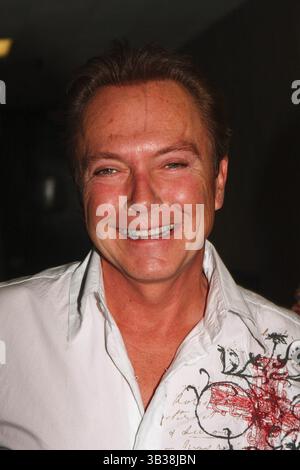 November 18, 2017 - AKTE - David Cassidy, 67, ist in einem kritischen Zustand, der an Nieren- und Leberversagen leidet, ins Krankenhaus eingeliefert. Abbildung: 21. November 2009 - New York, New York, Vereinigte Staaten - David Cassidy tritt im Queensborough Community College während eines seltenen Live-Konzerts am Wochenende vor einer ausverkauften Menschenmenge in New York City auf 11-21-2009 I14686BT (Credit Image: © Barry Talesnick/Globe photos/ZUMApress.com) Stockfoto