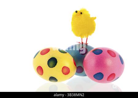 Bunte Ostereier mit kleinen Küken an der Spitze Stockfoto