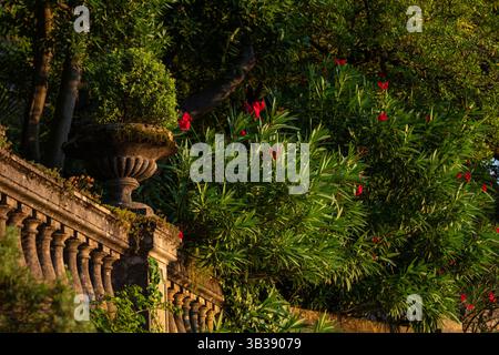 Verzierte Steinbalustrade mit üppigem Grün und Blumen bei Sonnenuntergang in Varenna, Italien Stockfoto