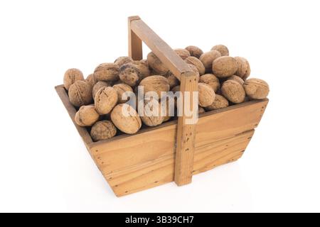 Holz- ernte Körbe voll Walnüsse auf weißem Hintergrund Stockfoto