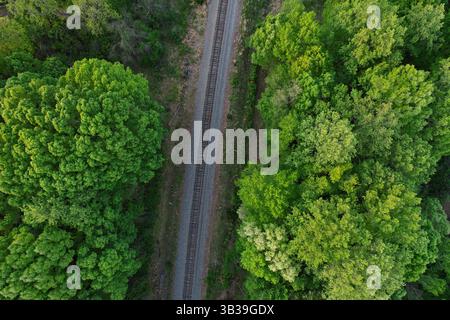 Blick von oben nach unten auf Eisenbahngleise, umgeben von dichtem Baumbestand Stockfoto