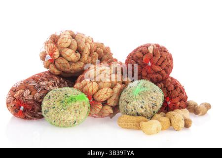 Fütterung der Vögel im Winter isoliert auf weißem Hintergrund Stockfoto