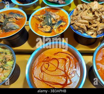Eine Auswahl an Nasi Padang-Gerichten in einem Restaurant in Indonesien, darunter Rinderrendang oder Rendang sapi. Stockfoto