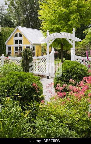 Rosafarbene Astilbe-„Straußenplume“-Blüten und kugelförmige Thuja-Zedernbäume im Vorgarten mit weißem Holzzaun mit Spalier. Stockfoto