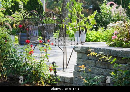 Braune Sitzbank aus schmiedeeisernem Metall auf erhöhter grauer Terrasse aus Pflasterstein durch rote Rosa - Rosenblumen im Wohnhof im Sommer. Stockfoto