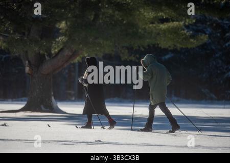 Ein Paar Skilanglauf durch einen verschneiten Wald, der den Geist von Winterreisen, Outdoor-Abenteuern und saisonalen Erholungsmöglichkeiten fängt. Stockfoto