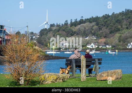 Das Paar und ihr Hund sitzen an einem warmen und sonnigen Tag auf einer Bank mit Blick auf die Marina von Crosshaven, West Cork, Irland. Stockfoto