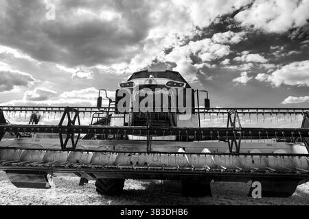 Ein moderner Mähdrescher steht während der Ernte auf dem Feld. Ansicht von unten mit Weitwinkelobjektiv am schwenkbaren Rahmen des Draper-Mähdreschers Stockfoto