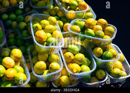 Lebendige Auswahl an Zitronen und Limetten, die eng in Kunststoffbehältern verpackt sind und die kontrastierenden gelben und grünen Farben hervorheben. Gestapelte Container Stockfoto