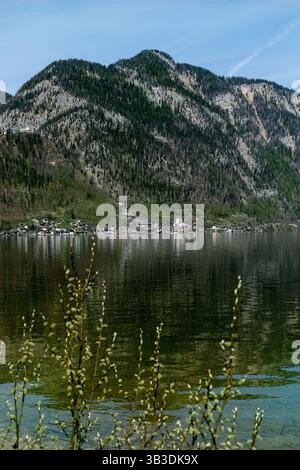 Hallstatt Österreich. Malerisches kleines Dorf, eingebettet zwischen Berg und See. Die ruhige Wasseroberfläche spiegelt bewaldete Hügel und die friedliche Alpenlandschaft wider Stockfoto