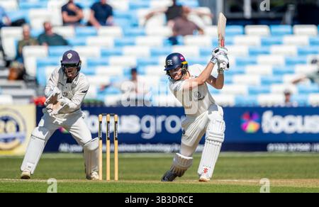 Ben Geddes schlug für Middlesex in einem County Championship-Spiel zwischen Derbyshire und Middlesex Stockfoto