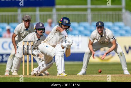 Zafar Gohar schlug für Middlesex in einem County Championship-Spiel zwischen Derbyshire und Middlesex. Stockfoto