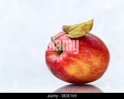 Roter Apfel (Gala-Sorte) mit seitlichem Blatt auf einer hellbeigen polierten Marmoroberfläche mit Reflexion. Hintergrund Stockfoto