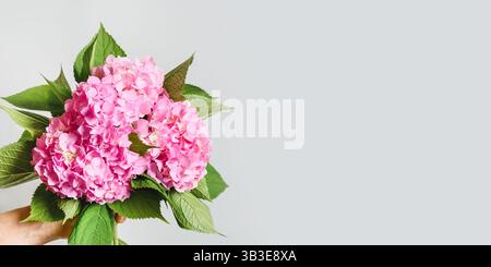 Strauß von rosa Hortensie Blume auf pastellgrauem Hintergrund. Kreatives Banner in minimalem Stil. Grußkarte zum Muttertag mit Kopierraum. Stockfoto