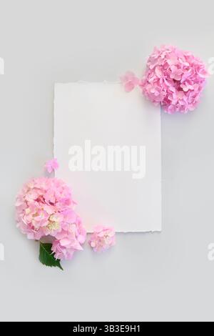 Festliches leeres weißes Leere oder Einladung mit rosa Hortensien auf pastellgrauem Hintergrund. Hochzeitseinladung. Blumenkomposition mit Kopierraum. Stockfoto