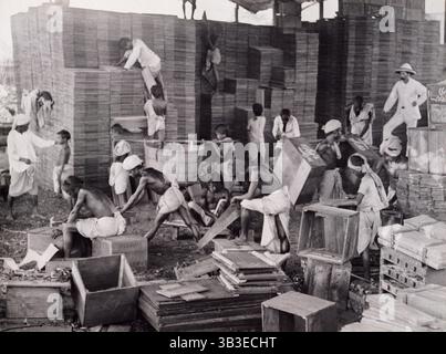 Teeboxen machen, Bengalen, 1920. Barfüßige Männer und Jungen, die Kisten für Tee zusammenstellen, beobachtet von einem europäischen Aufseher. Stockfoto