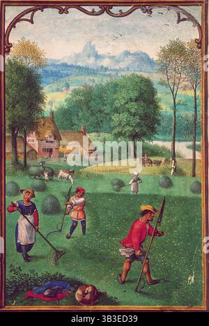 Ernte, Ende des 15. Jahrhunderts. Männer verwenden Sensen, um das Heu zu schneiden, während Frauen es in Stapel hacken. In der Entfernung laden andere den Wagen. Ein Hund liegt im Vordergrund eingerollt und schlafend. Stockfoto