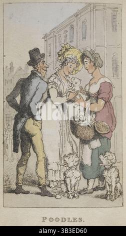 „Pudel“, 1820. Drei Leute bewundern ein paar Welpen. Von Rowlandsons Characteristic Sketches of the Lower Orders Tarned as A Companion to the New Picture of London bestehend aus Fifty Four Plates Coloured. Stockfoto