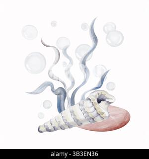 Die Muschel der Meeresschnecke liegt auf rosa Kieseln. Algen entwickeln sich im Wasser. Luftblasen auf dem Hintergrund. Aquarellabbildung ohne Hintergrund. Handzeichnung. Stockfoto