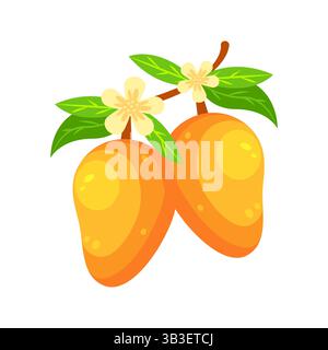 Zwei reife Mangos hängen an einem Zweig mit Blumen und Blättern Stock Vektor