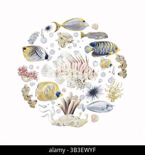 Exotische tropische Fische. Medaillon mit Meerestieren. Korallenriff. Runde Komposition mit einem Meeresgrundstück. Aquarellabbildung ohne Hintergrund Stockfoto
